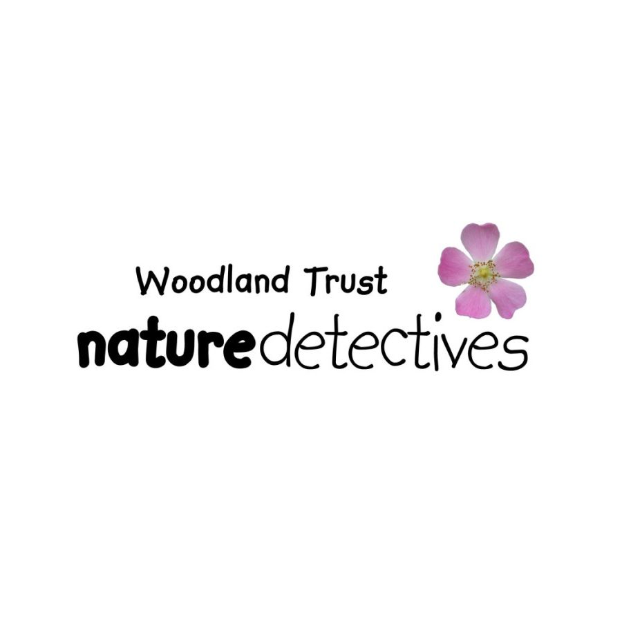nature detectives