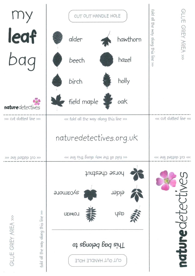 nature detectives resource sheet designed by shaun nixon leaf bag